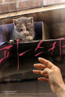 Dois Amantes e um Gato  - Poster / Capa / Cartaz - Oficial 1
