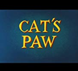 Cat's Paw