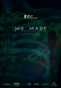 Mr. Mare (Mr. Mare)