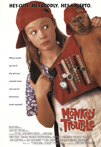 Meu Pequeno Ladrão (Monkey Trouble)