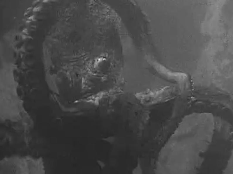 Foto 2 de Sh! The Octopus