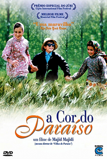 A Cor do Paraíso - Poster / Capa / Cartaz - Oficial 8