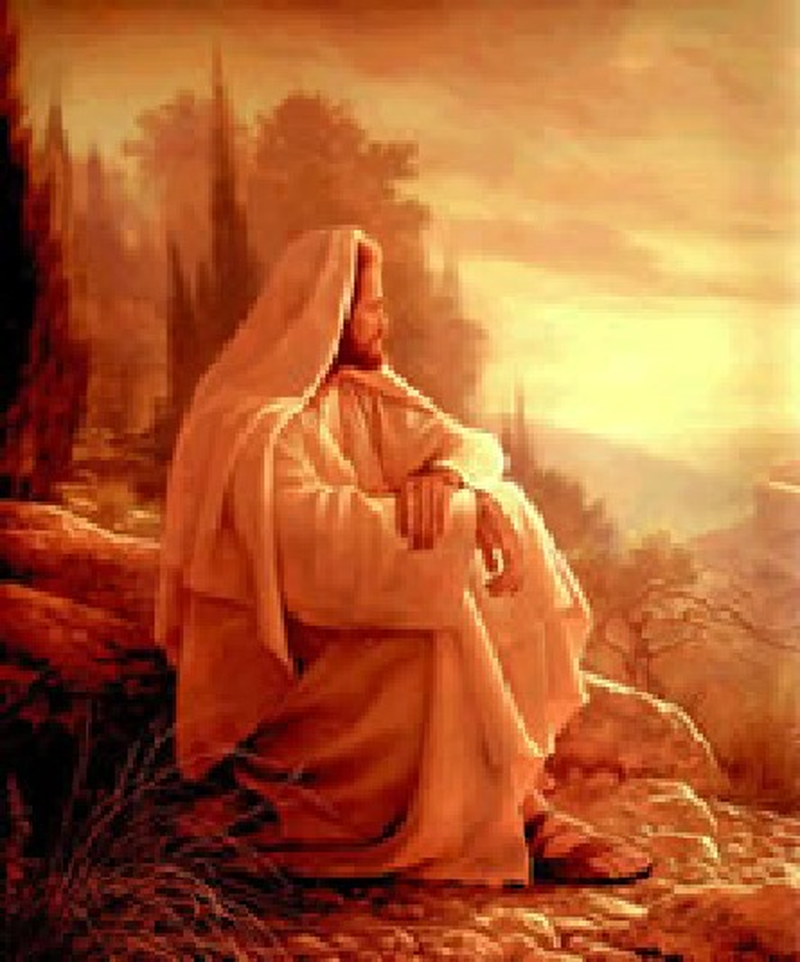 Francisco DArtagnan Ribeiro Jr - Foto 1