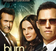 Burn Notice - Operação Miami (6ª Temporada)