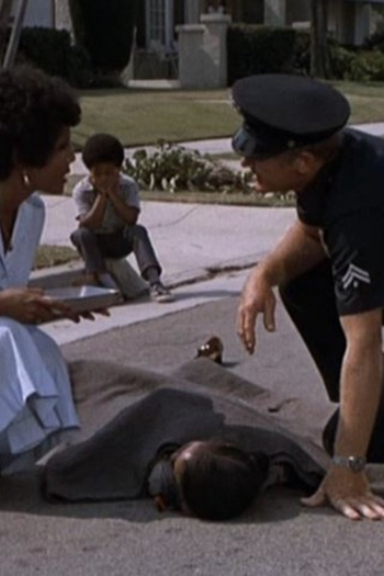 Poster de Episódio Hollywood Division (1973)