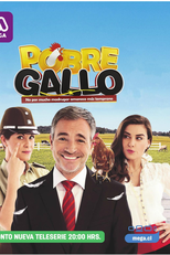Pobre Gallo (Pobre Gallo)