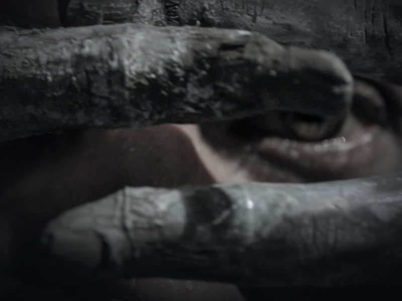 Foto 1 de Canto da Sombra