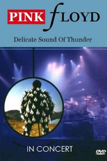 Pink Floyd: Delicate Sound Of Thunder (Pink Floyd: Delicate Sound Of Thunder)
