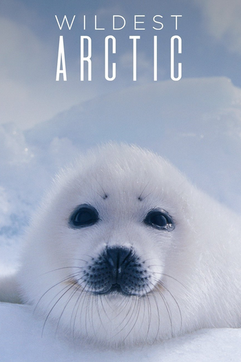 Poster de Série A Vida Selvagem do Ártico (2013)