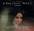 PJ Harvey: Um Cão Chamado Dinheiro
