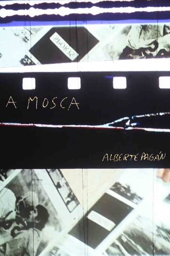 Poster de Curta A Mosca (2017)