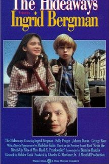 Poster de Filme A Aventura da Descoberta (1973)
