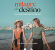 Milagre do Destino