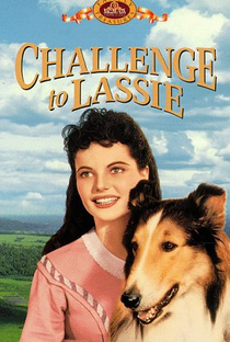 Desafio de Lassie - Poster / Capa / Cartaz - Oficial 5