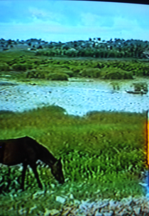 O Lugar em que um Homem Mora (O Lugar em que um Homem Mora)