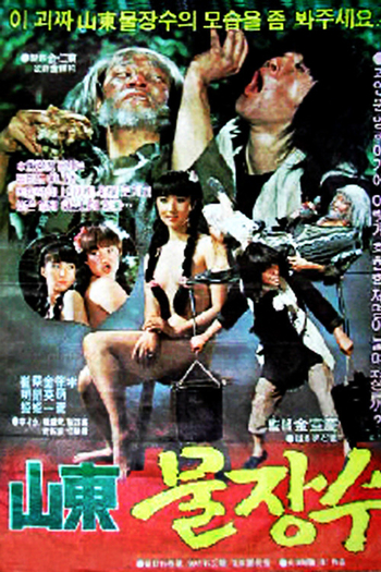 Poster de Filme Incredible Shaolin Thunderkick (1982)