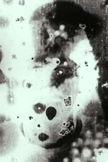 Poster de Curta N°5 (1998)