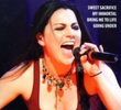 Evanescence - Live In Germany 2007
