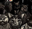 Cat city