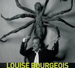 Louise Bourgeois: A Aranha, a Amante e a Tangerina