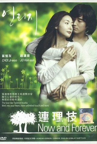 Poster 2 de Filme Now and Forever (2006)