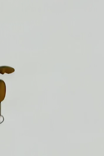 Poster de Episódio Il troglodita (2009)