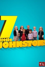 Os Pequenos Johnstons (7 Little Johnstons)