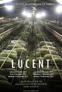 Lucent - Poster / Capa / Cartaz - Oficial 1