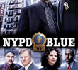 Nova Iorque Contra o Crime (7ª Temporada)