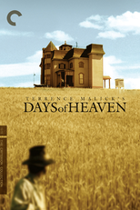 Cinzas no Paraíso (Days of Heaven)