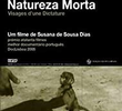 Natureza Morta