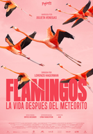 Flamingos: A Vida Depois do Meteorito