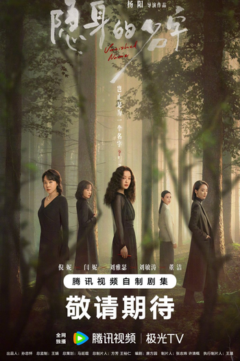 Poster de Série Vanished Name (2025)