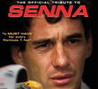 Ayrton Senna – O Direito de Vencer
