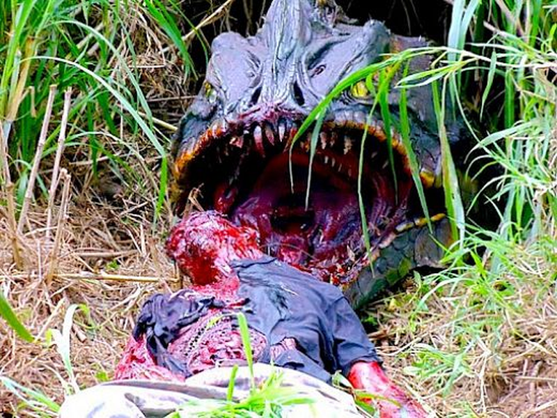 Foto 1 de Piranhaconda