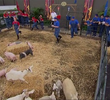 18 Chefs Compete