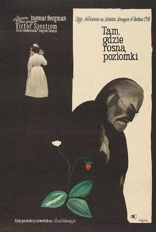 Poster 12 de Filme Morangos Silvestres (1957)