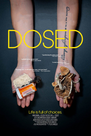 Poster 1 de Filme DOSED (2019)