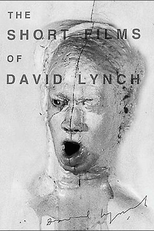 The Short Films of David Lynch (The Short Films of David Lynch)