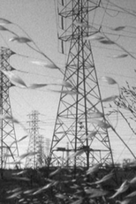 Marginalia (Marginalia)