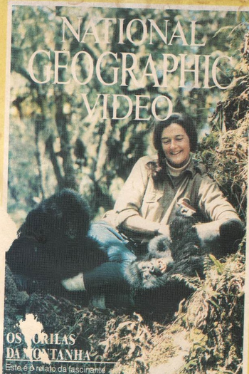 Poster de Filme Os Gorilas das Montanhas (1976)