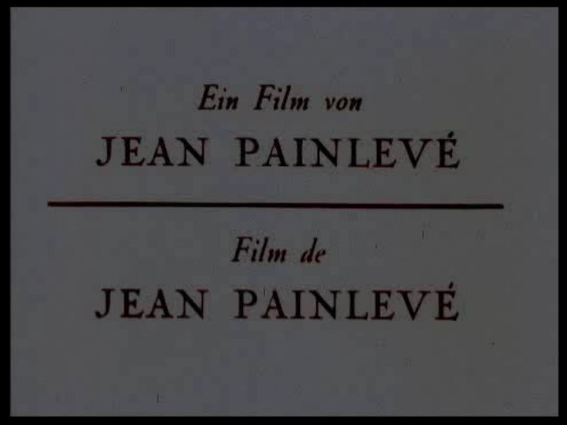 Foto 1 de La Pieuvre