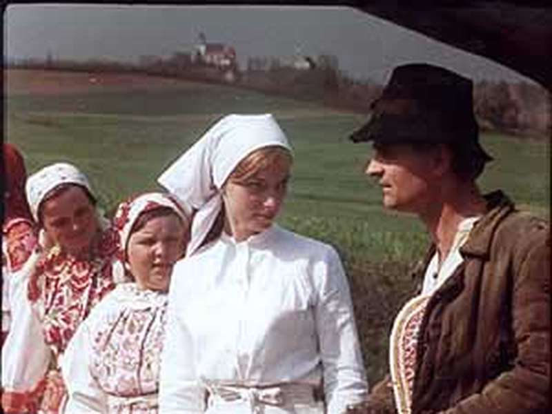 Foto 7 de Breza     (The Birch Tree) 