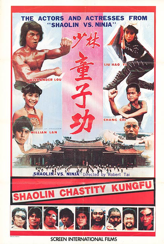 Poster 1 de Filme Shaolin Chastity Kung Fu (1981)