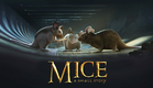 Mice, a small story (2018)
