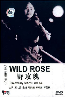 Wild Rose - Poster / Capa / Cartaz - Oficial 2