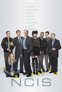 NCIS: Investigações Criminais (14ª Temporada) - Poster / Capa / Cartaz - Oficial 1