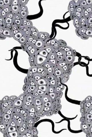 Poster 1 de Curta Fantastic Cell (2003)