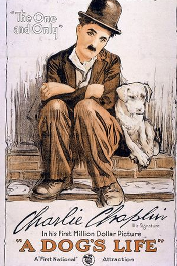 Poster de Curta Vida de Cachorro (1918)