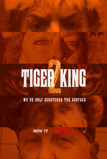 A Máfia dos Tigres (2ª Temporada) - Poster / Capa / Cartaz - Oficial 3